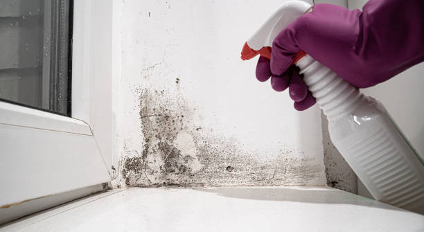 Local water damage restoration in West Peoria, IL